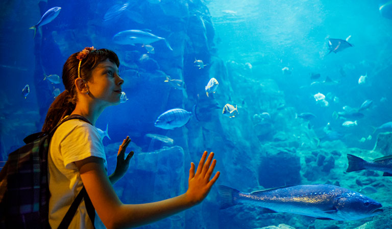 Monterey Bay Aquarium at California